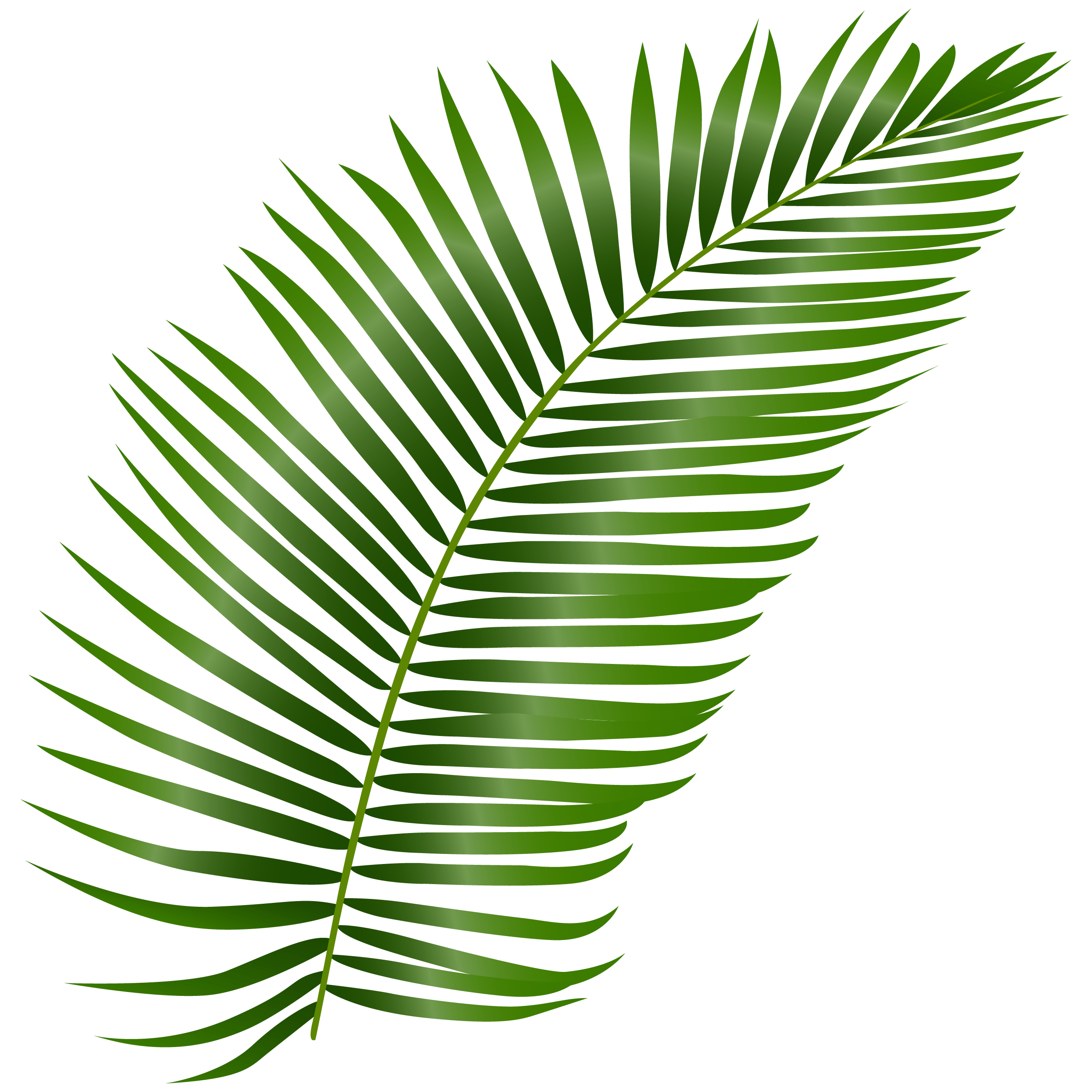 leaf__image